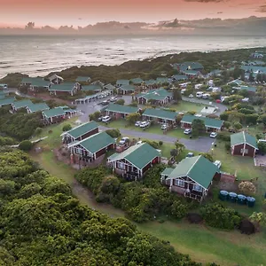 Pine Port Elizabeth